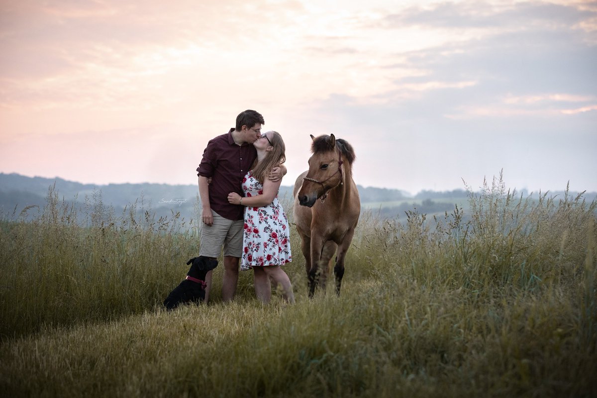 Sabz 🧡 tweet media