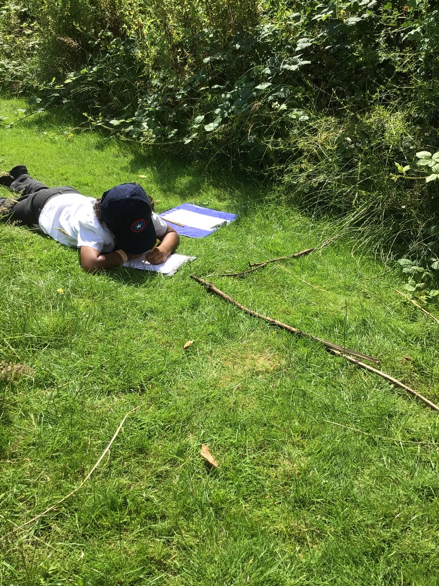 BirchwoodCE's tweet photo. Year 1 conducted research this week into the distribution of living organisms in a habitat. They devised their own quadrants by using a 1 metre ruler to measure, and sticks. #bcepsscienceweek #bcepsyear1 #bcepsscience https://t.co/sKFjefcpP2