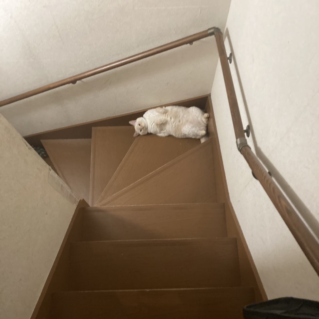 なんかおちてる