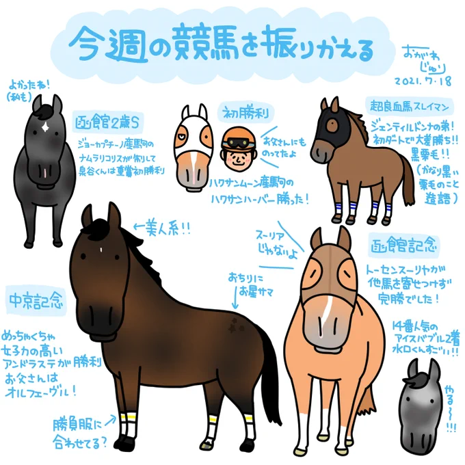 今週の競馬を振り返る。中京記念を勝ったアンドラステは美人さん函館記念はトーセンスーリヤでしたね泉谷君がナムラリコリスで重賞を初勝利するなど色々あった週末でしたな。 