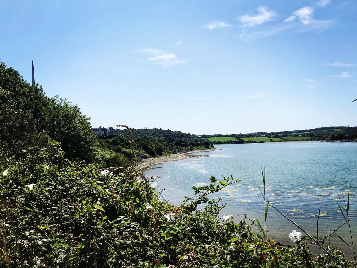 SineadBarry77's tweet photo. Lunchtime #Lunchtime #lunch #loughbeg #beach #sunshine #sunday #july #Cork #Ireland @CorkDaily @yaycork @pure_cork @corkbeo @PhotosCork @LovingCork https://t.co/N2XmfnGwjZ