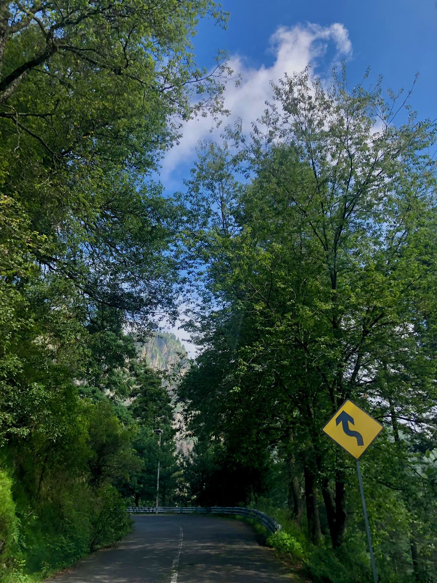 NestorAparicioS's tweet photo. Cómo disfruté ayer paseando por los últimos bosques de la Ciudad de México. 

#intothewild #hunterhunted https://t.co/5UxX6gOVGL