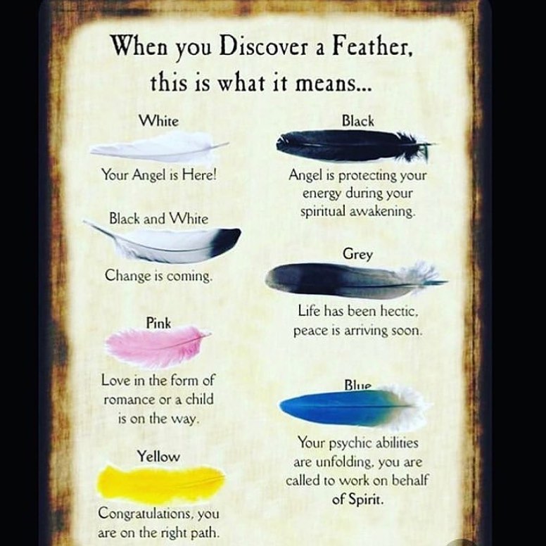 BotanicaOrigina's tweet image. Feathers appear when angels are near!

#angelsigns #angels #angelicmessages #metaphysical #messages #divinemessages #originalbotanica #onlinebotanica