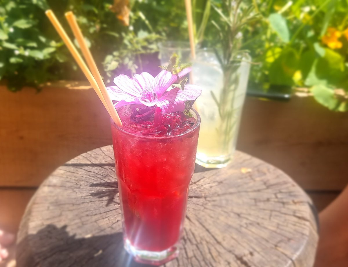 Sunshine and cocktails with @gincurable