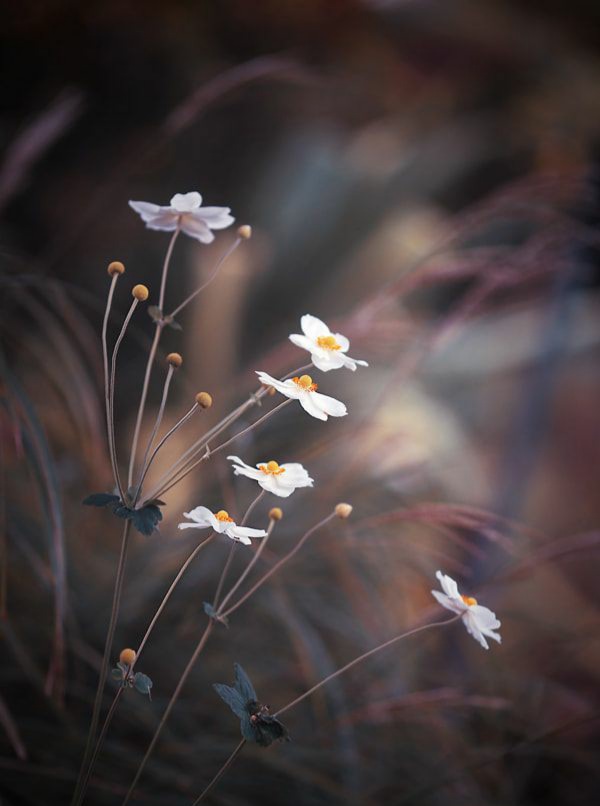 인간 관계
복잡하게 살것 없다

끊을 건 끊고
정리할 건 정리해라

삶을
힘들게 살것 없다

나쁜 건 지우고
아픈 건 보내줘라

인생
어렵게 살것 없다

버릴 건 버리고
잊을 건 잊어버려라.🖋

-지나간다 다지나간다-
서점에서 만나요
