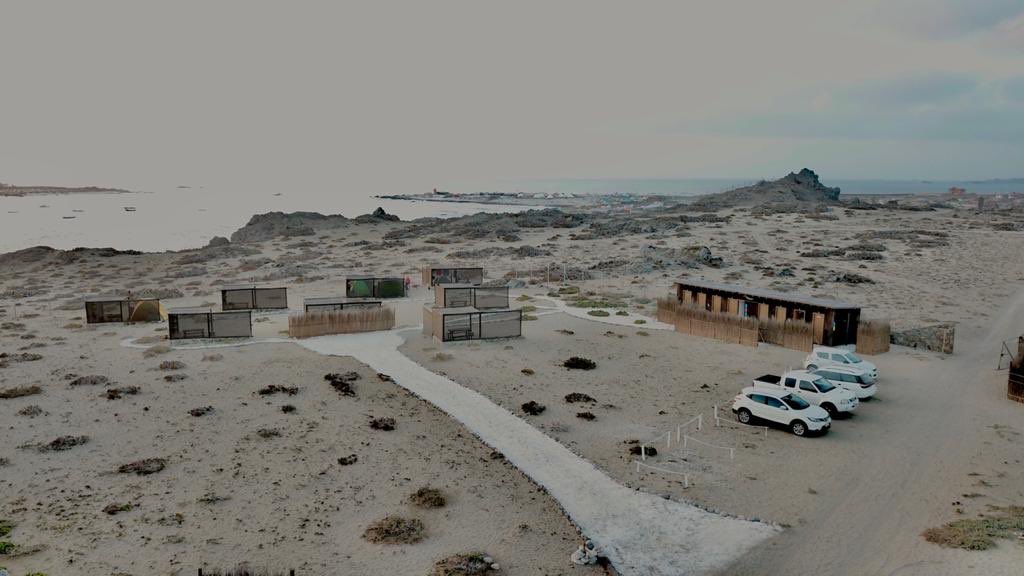 Camping Puntalodge - Punta de Choros tweet media