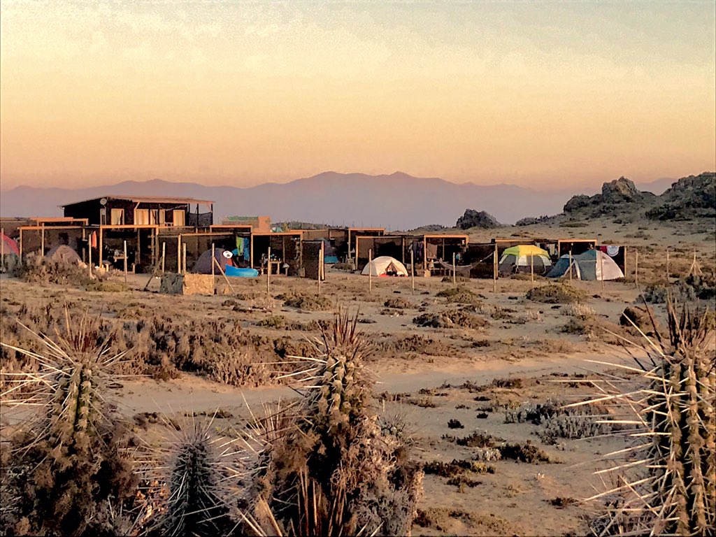 Camping Puntalodge - Punta de Choros tweet media