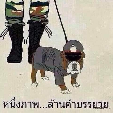 zïηεšωεεt† tweet media