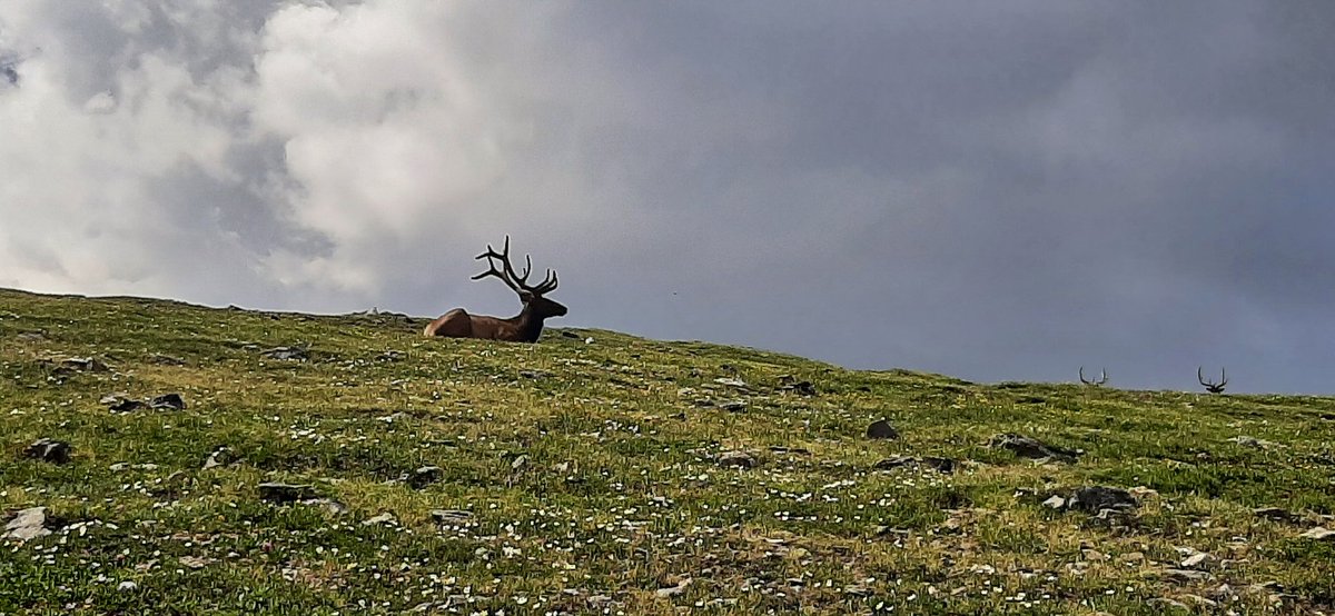 Deb Fiore🌈 tweet media