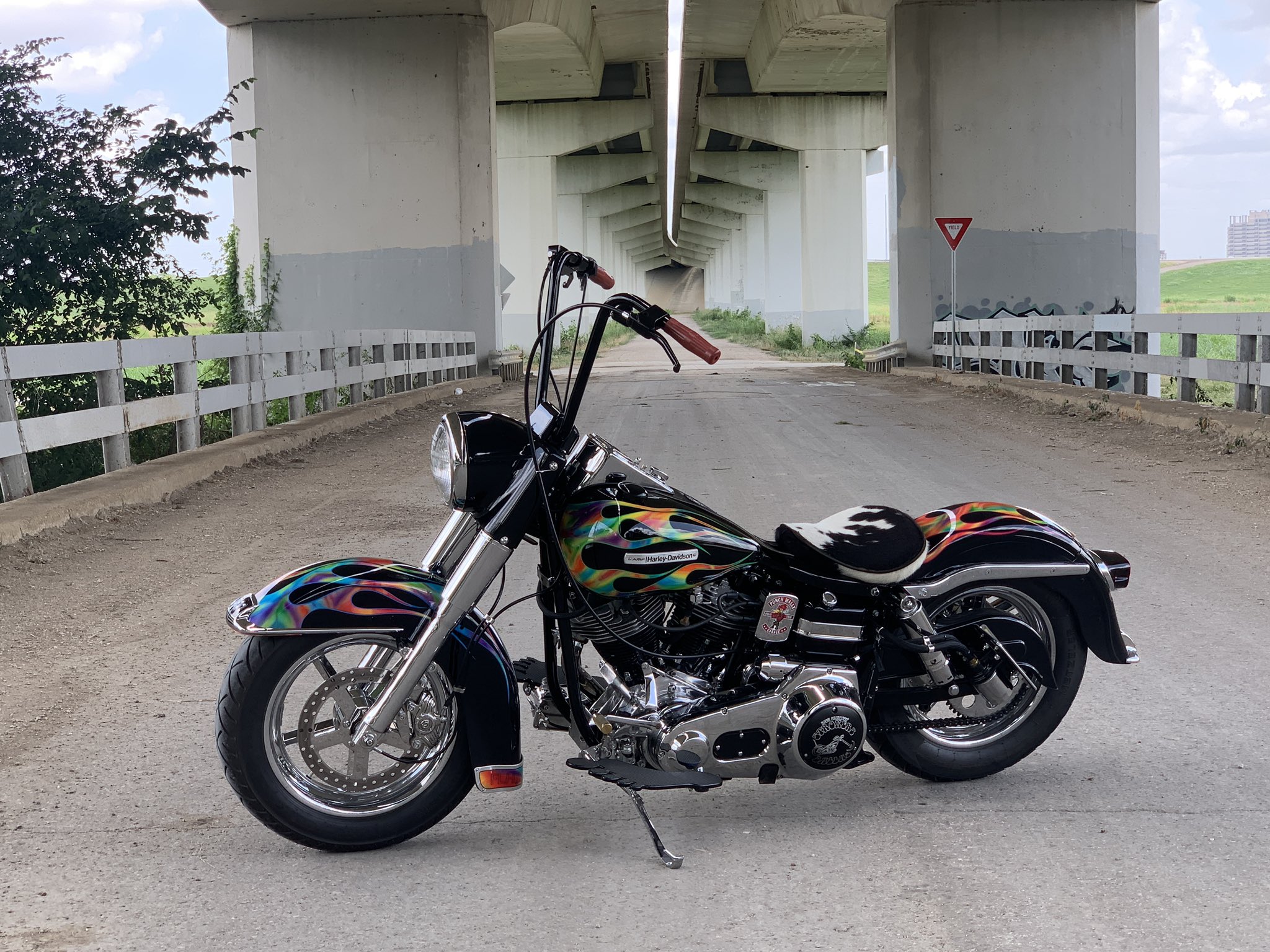 Trashy Candy  Shovelhead, Ride the lightning, Harley women