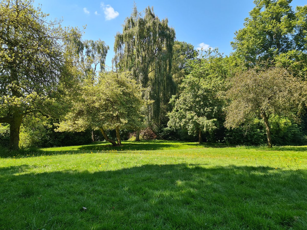One of the best things about moving to Birmingham has been having access to so many beautiful parks and green spaces, currently enjoying a picnic in the lush Highbury park 🌻🟩🌞