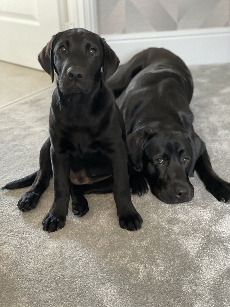 Ian McNulty tweet media