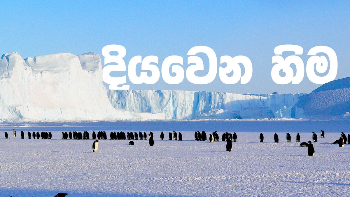 New Video: youtu.be/M2qk2RlhrgY