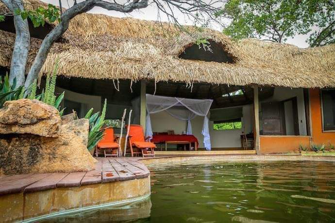 'Let's talk after my holiday'

That's what you tell people when going to special places like this👇
#beauty 
#HoneymoonTavern 
#romaticgetaway 
#wildlifesafari