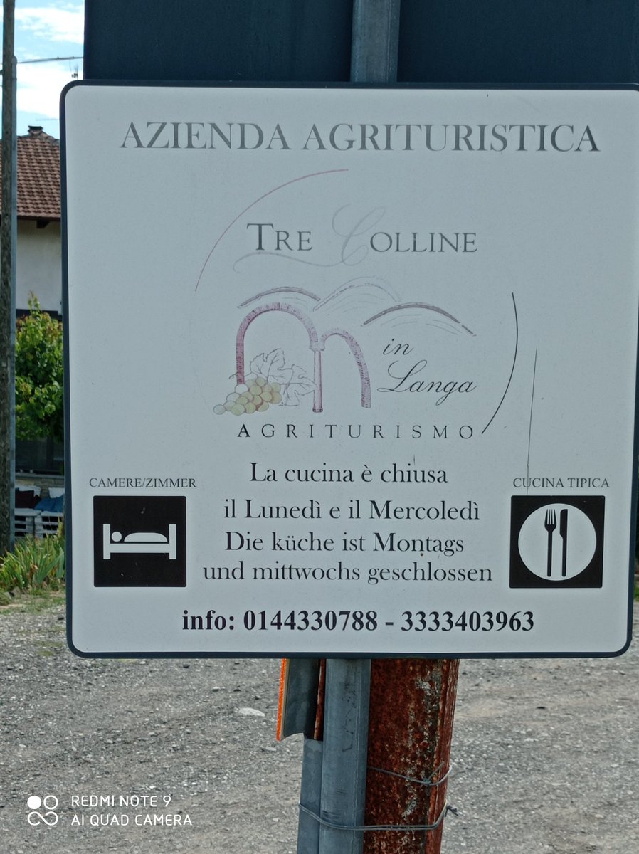 PiemonteDreams's tweet image. Hoe cool is this wine display! I saw this today on a lunch outing to agriturismo 'Tre Colline' in Bubbio, Alta Langa. Lovely lunch too 😋🥂. #SundayLunch #Bubbio #AltaLanga