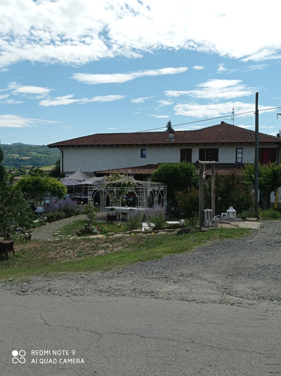 PiemonteDreams's tweet image. Hoe cool is this wine display! I saw this today on a lunch outing to agriturismo 'Tre Colline' in Bubbio, Alta Langa. Lovely lunch too 😋🥂. #SundayLunch #Bubbio #AltaLanga