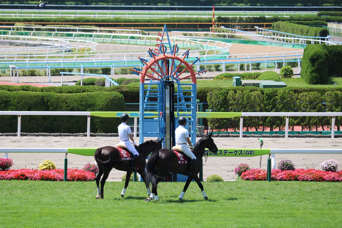 函館競馬場
ほんと大好き