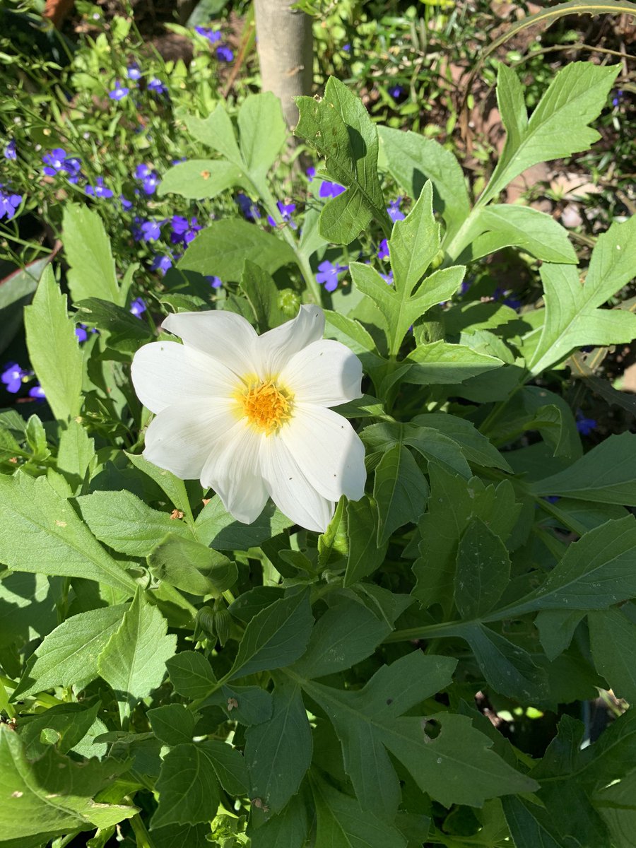 Mike Roberts 🇺🇦🏳️‍🌈🇬🇧 tweet media