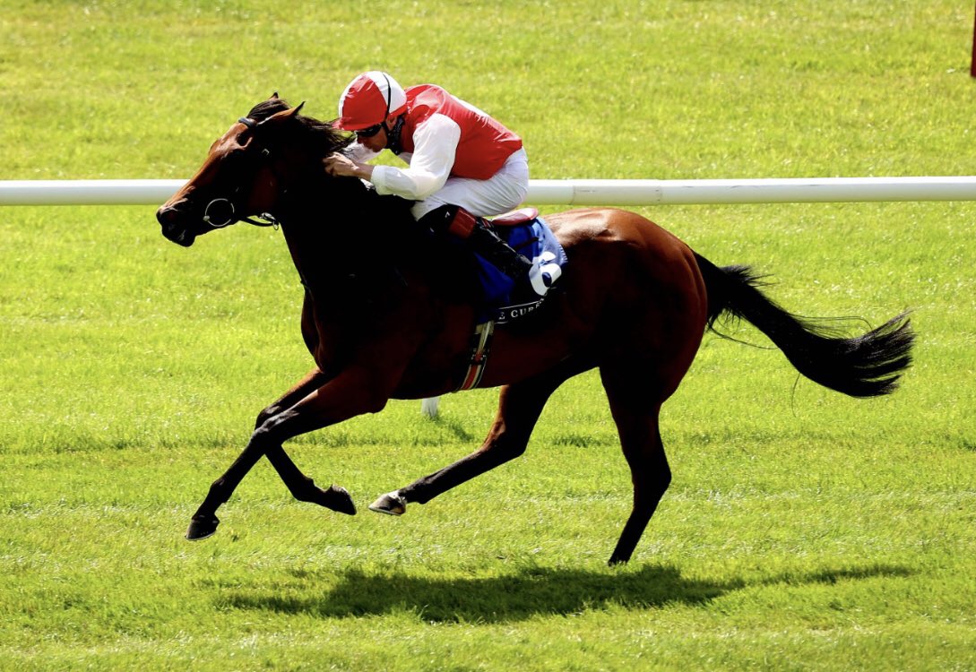 Over the moon for <a href="/ChampionTbreds/">Champion T'breds</a> winner I SIYOU BABY <a href="/curraghrace/">The Curragh Racecourse</a> purchased as a foal by BGB <a href="/Tattersalls1766/">Tattersalls</a> from <a href="/AstonMullins/">Aston Mullins Stud</a>. Fantastic result for <a href="/JosephOBrien2/">Joseph O'Brien</a> &amp; <a href="/declanmcdonogh/">Declan Mc Donogh</a>. This smart filly is by <a href="/AgaKhanStuds/">Aga Khan Studs</a> Siyouni &amp; is a 3/4 sis to stakes filly Spectre