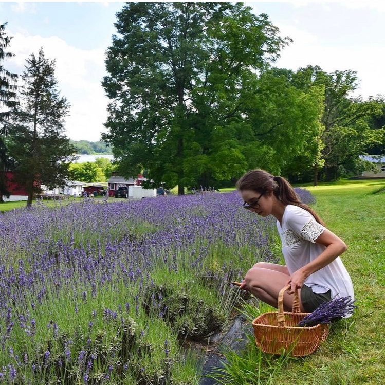 VisitBucksPA's tweet photo. 💜 Behind-the-scenes of our #FromtheLocals #podcast with @PV_Lavender! https://t.co/6mULfqc1Vb #ExploreinBucksCo https://t.co/YckDM3M99x