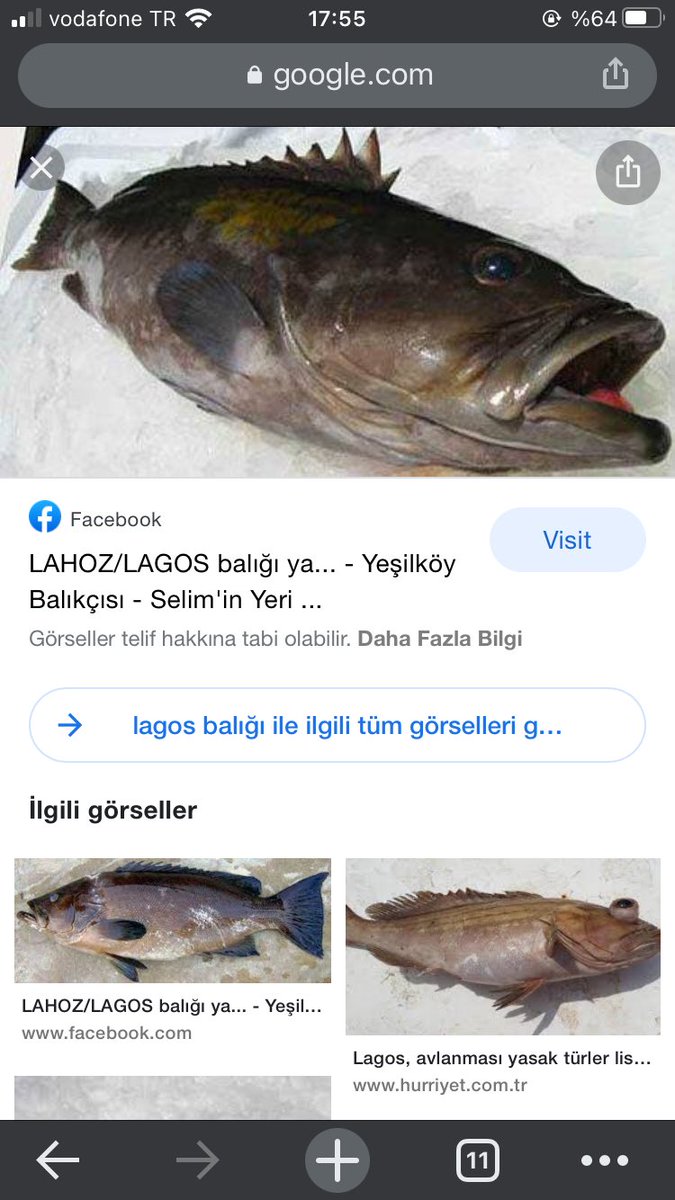 DrDogukanonal's tweet photo. @senkimkpekkkk Siyah işte bu da 🧐 https://t.co/KQkLQmfirw