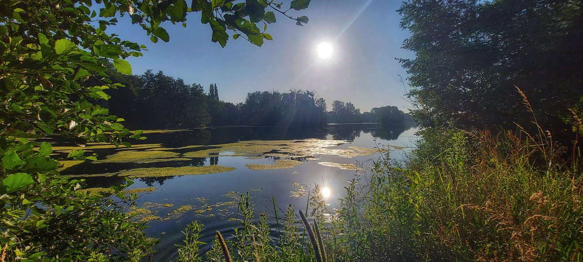 ChrisPage90's tweet photo. It’s been a week that feels like #summer has finally arrived. My #AngliaPOTW comes from #Northampton of a beautiful start to the day

📷 @ironsie1 @itvanglia #PicOfTheWeek https://t.co/9oUZ9rygj2