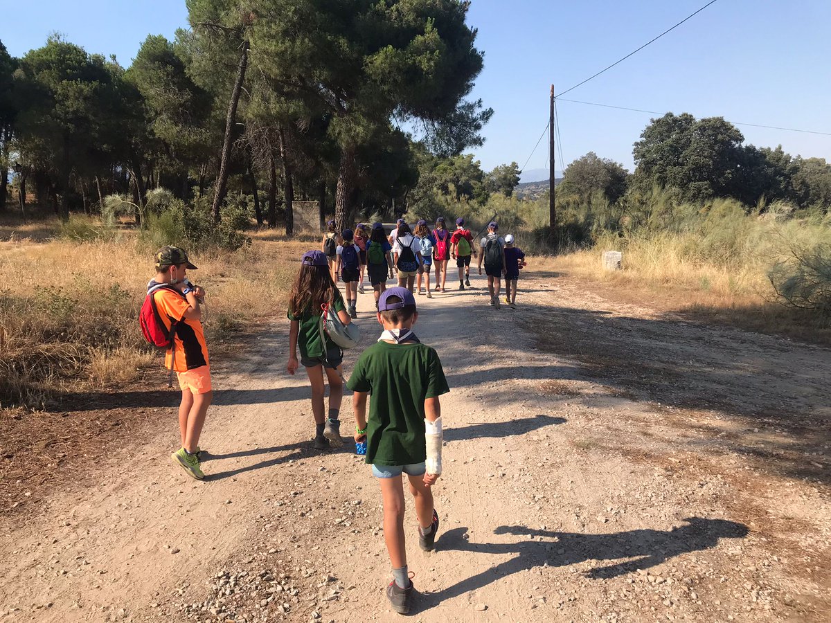 ¡Segundo día de campamento! ¡Seguimos poniendo a punto todas las zonas para disfrutar al máximo! gsorion.wixsite.com/librodecampame… #gsorion #scouts #campamentodeverano