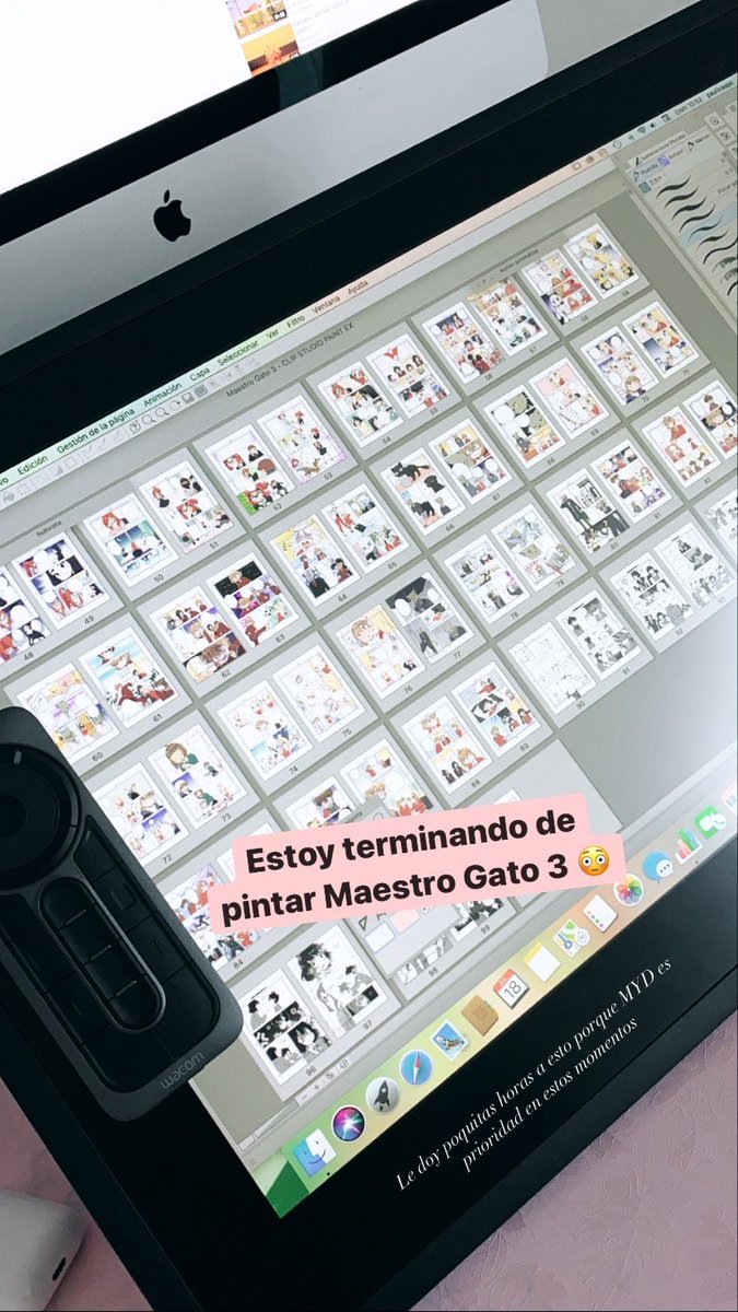 Terminando de pintar #MaestroGato 3 💪
