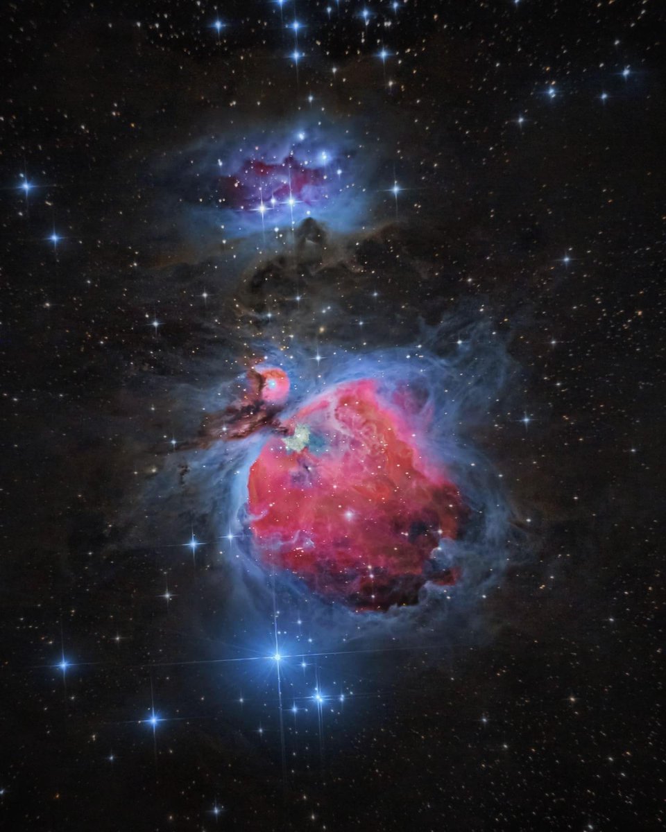 redditSpaceView's tweet photo. I drove 7 hours to a very dark sky location in western India, and captured this beautiful image of the Orion #nebula https://t.co/WKCI9orKjW