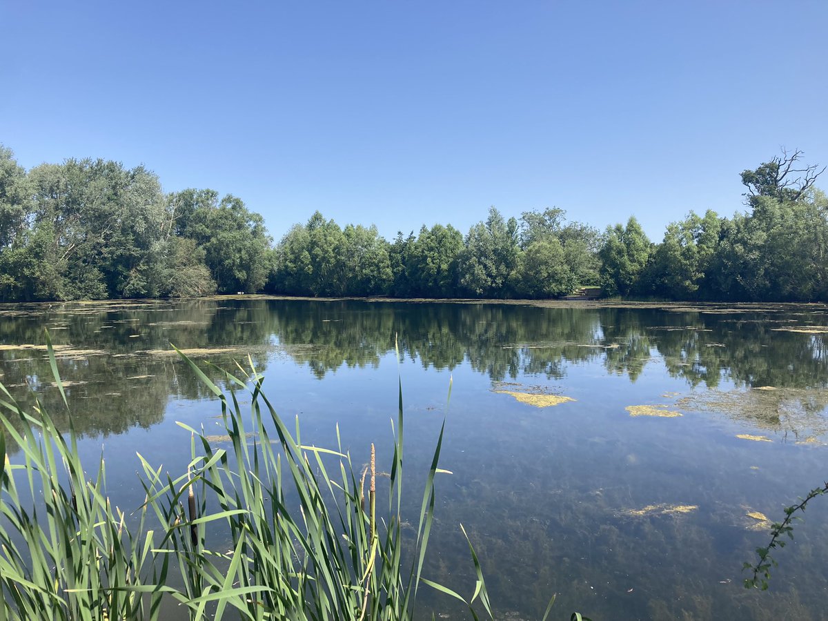 Super proud of 5 year 10’s smashing their Bronze assessment this weekend in 30deg temps! 30km over 2 days, straight after being in isolation too! #toohotforwalking <a href="/BoswellsSchool/">The Boswells School</a> <a href="/DofESouthEast/">DofE South East</a>