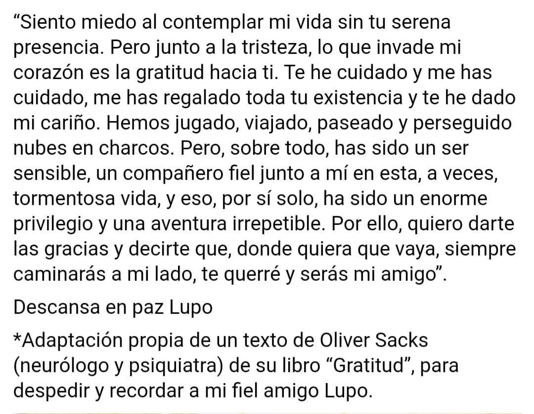 fjrurin's tweet photo. Gracias por todo 😔 https://t.co/Ajpzkb3MU5