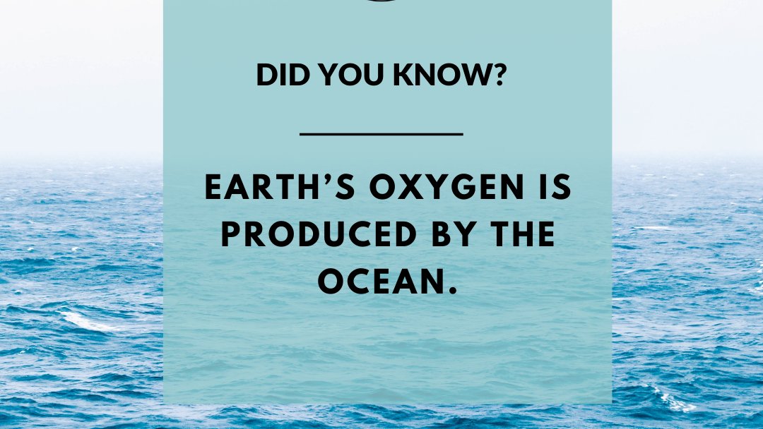 Did you know where oxygen comes from? It's the marine organisms like plankton, seaweed and other photosynthesizers that produce over half of the world’s oxygen. 

#SundayMotivation #Facts