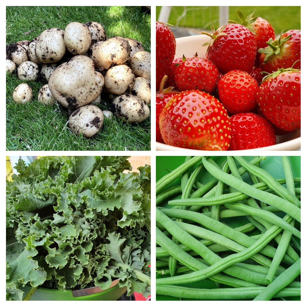 Leigh Fletcher tweet media