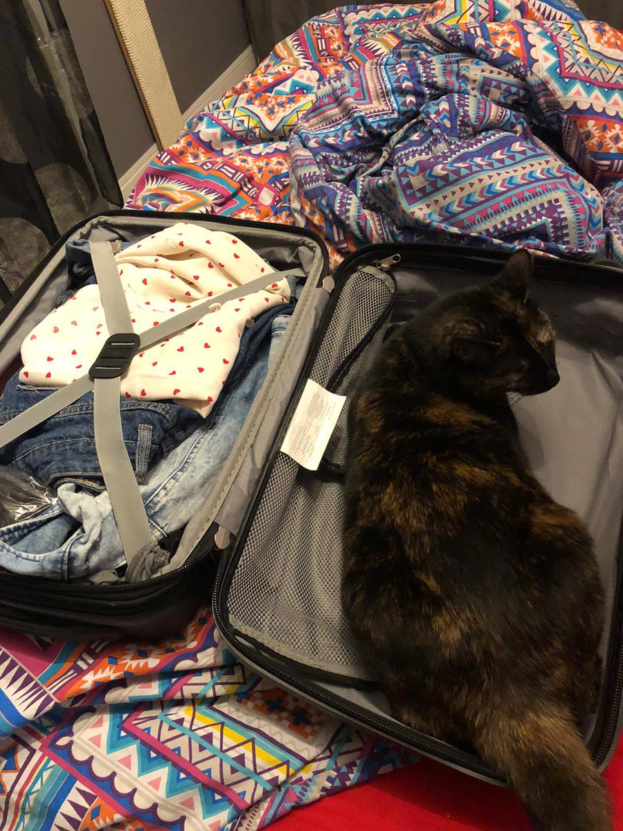 Seora46752199's tweet photo. Lhumaine va partir quelques jours en vacances. Elle a dit qu’elle ne prenait que les sensiels. Alors voilà ce que je dis: le sensiel c’est moi et puis c’est tout! https://t.co/KxoiJelrWh