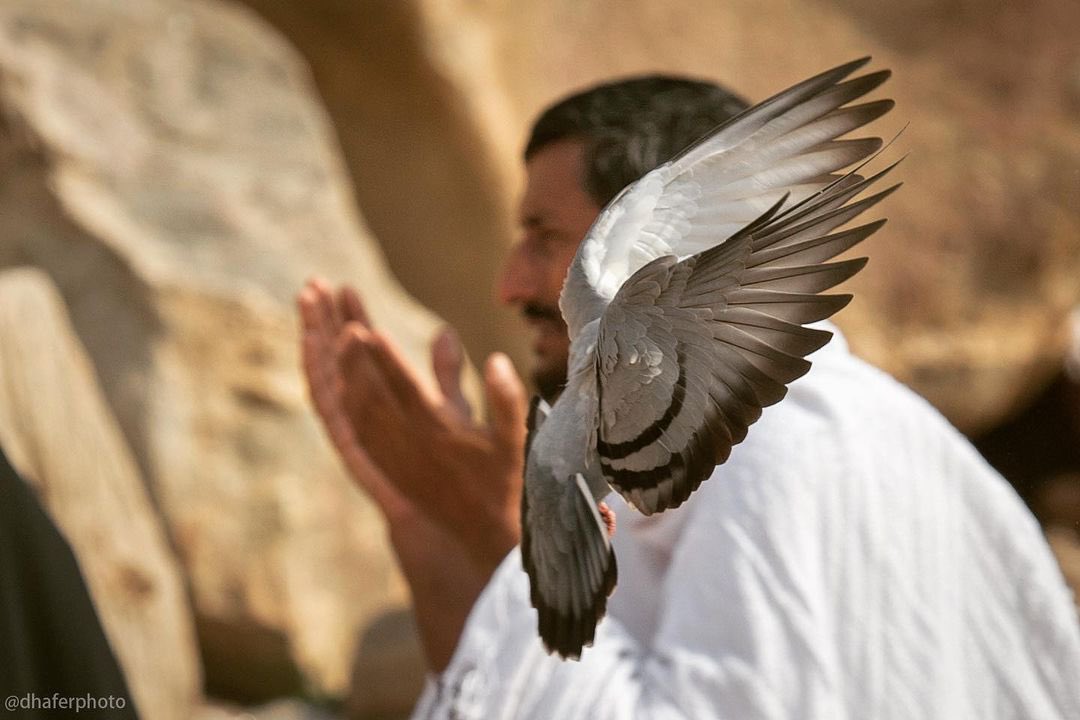 ظافر الشهري tweet media