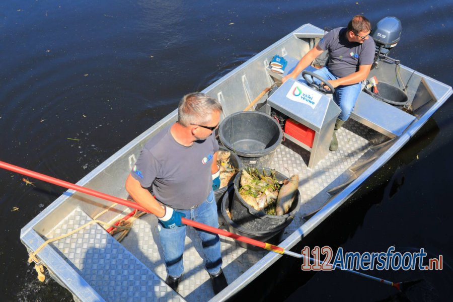 Waterschap haalt emmers vol dode vissen uit Valleikanaal in #Amersfoort. 112Amersfoort.