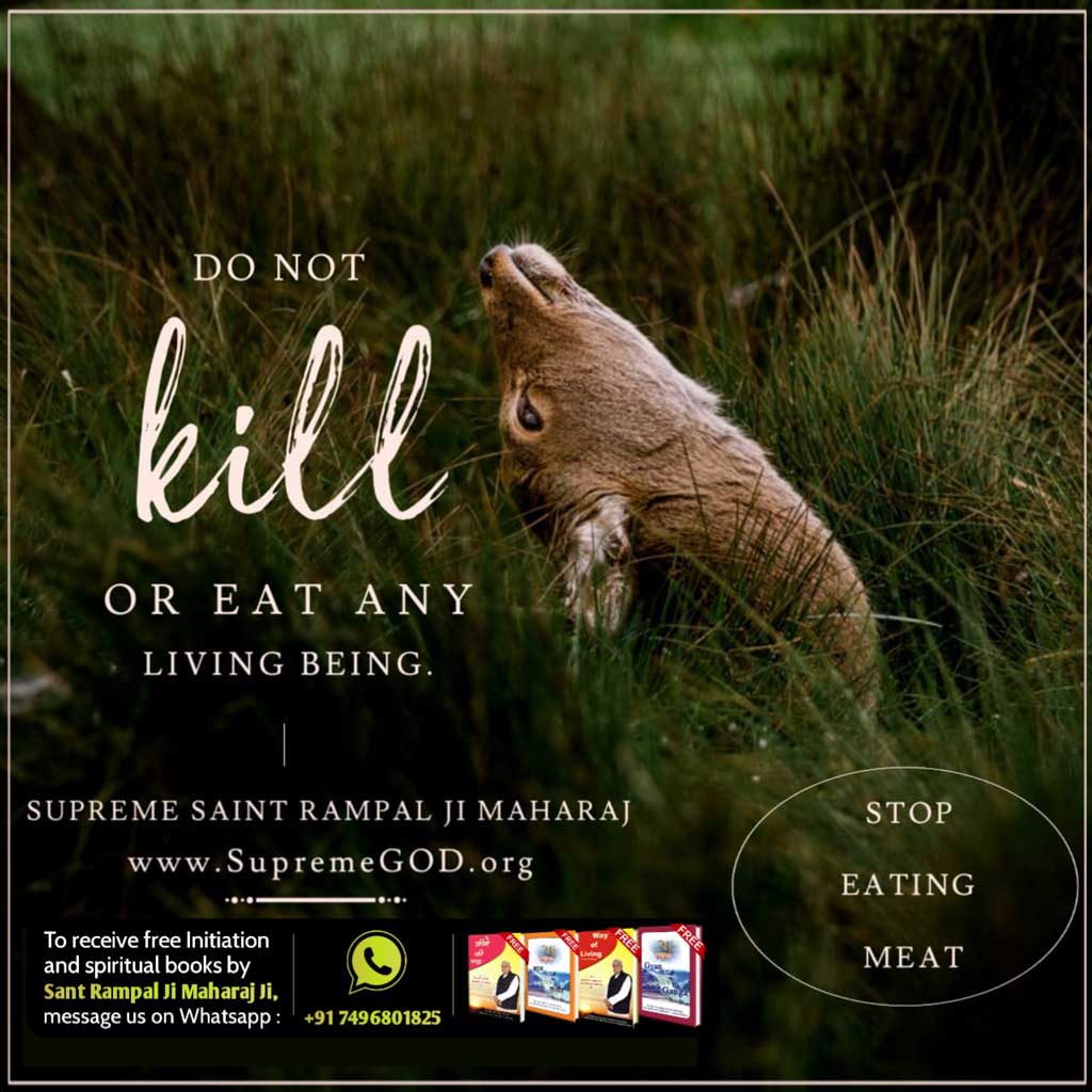 Prabhucharansw2's tweet image. #StopEatingMeat
Do  not kill or eat any living being it&apos;s a
 Sin
👁️👁️👇
For more information Visit 
Saint  Rampal Ji YouTube Channel