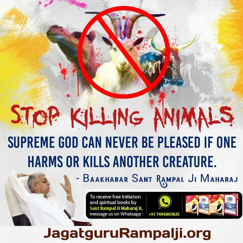 Prabhucharansw2's tweet image. #StopEatingMeat
All the evil practices like Bakrid, which are used to kill innocent living beings, should be stopped immediately.
Saint  Rampal Ji