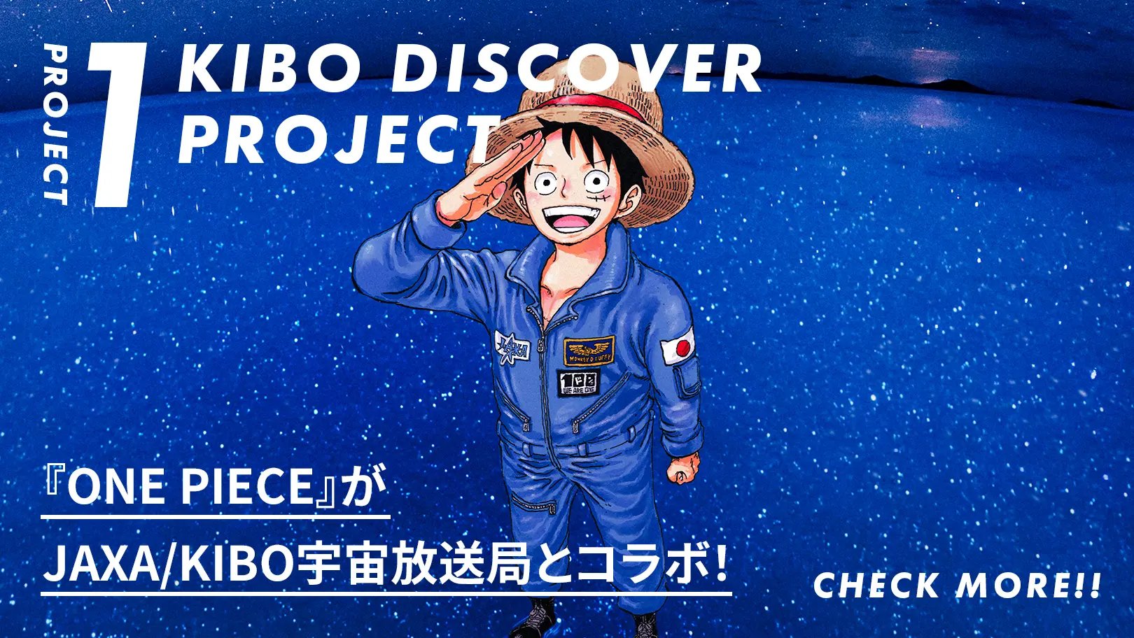A 'One Piece' project