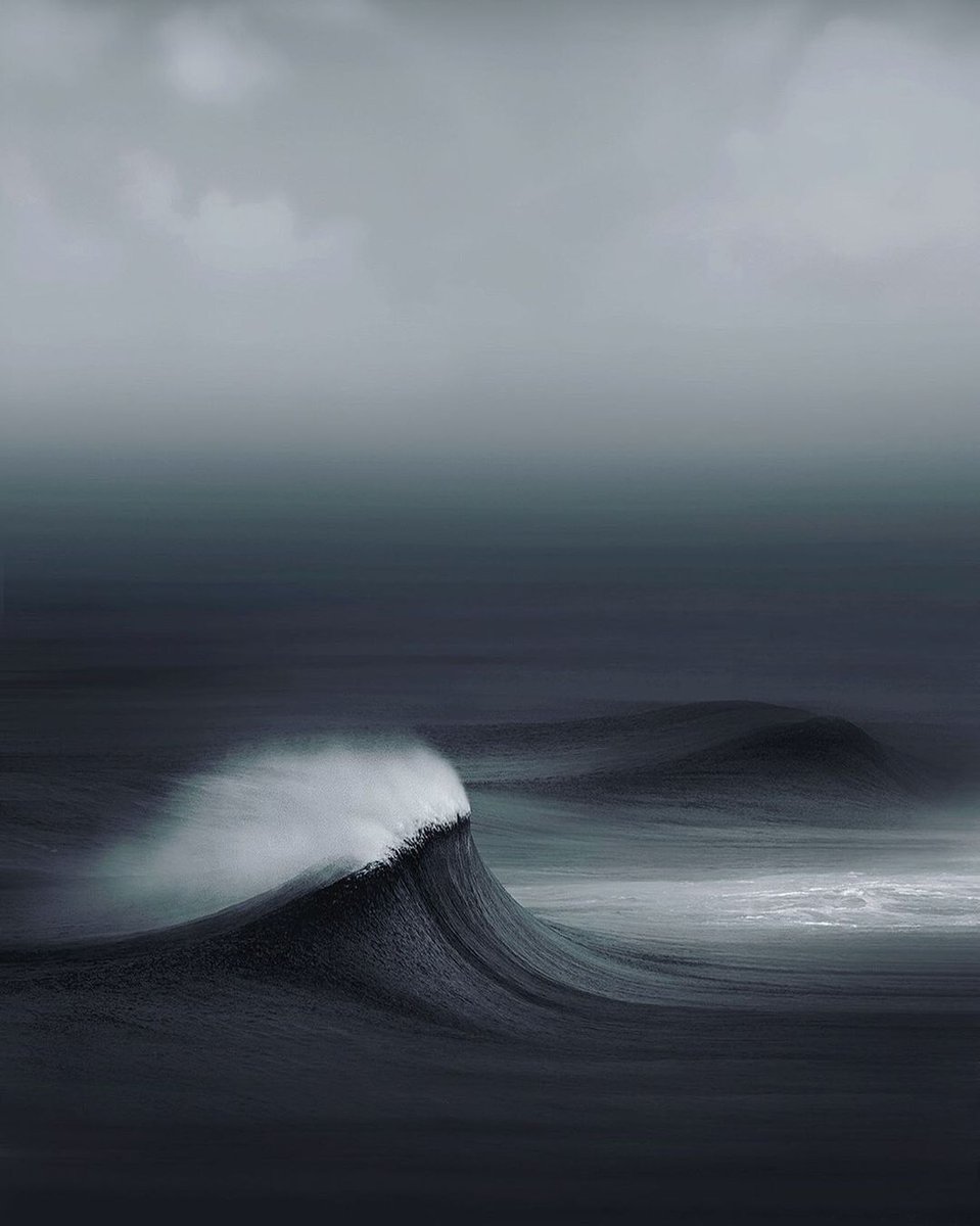 minimalism tweet media