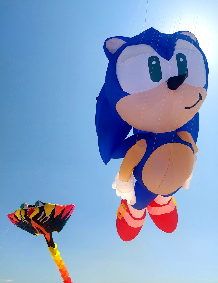 BercKite's tweet image. 