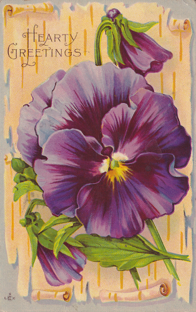 AlColombo2's tweet image. Do you collect or like to gander at vintage  postcards?  So do I!  Visit my alternate timeline where you will find a bunch of them, and the list is growing: facebook.com/allan.b.colomb…