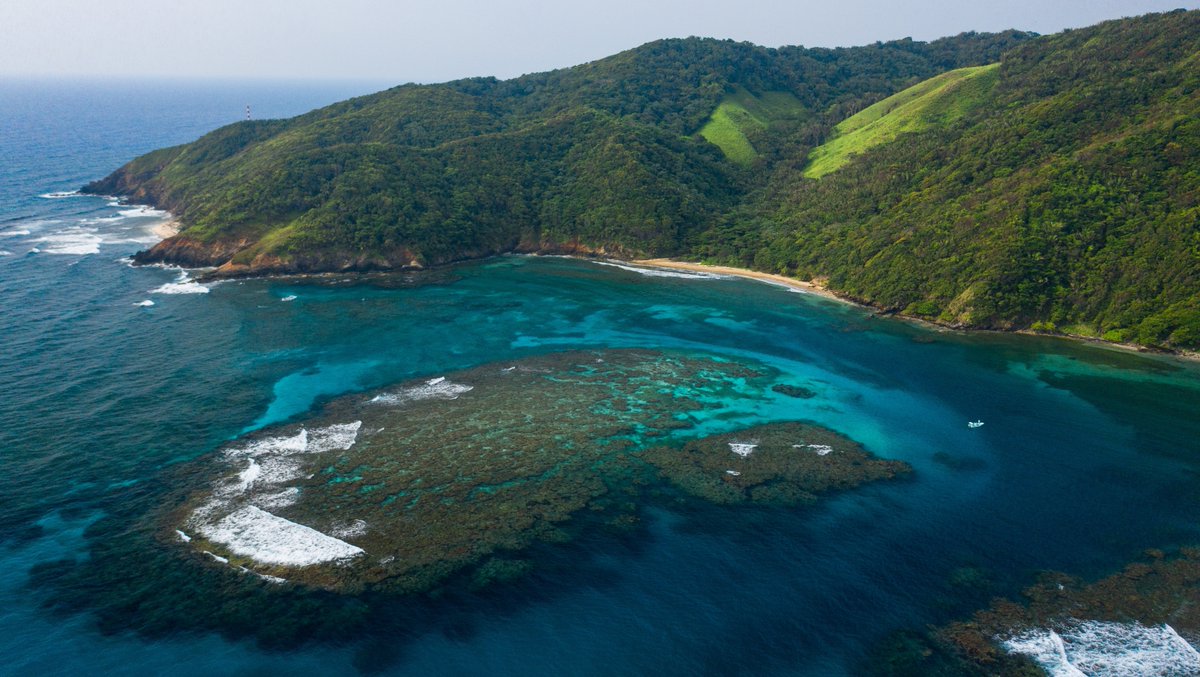 BAJÍO Sunglasses tweet media