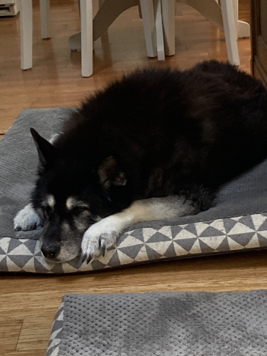 Bella🌈&Ovie tweet media