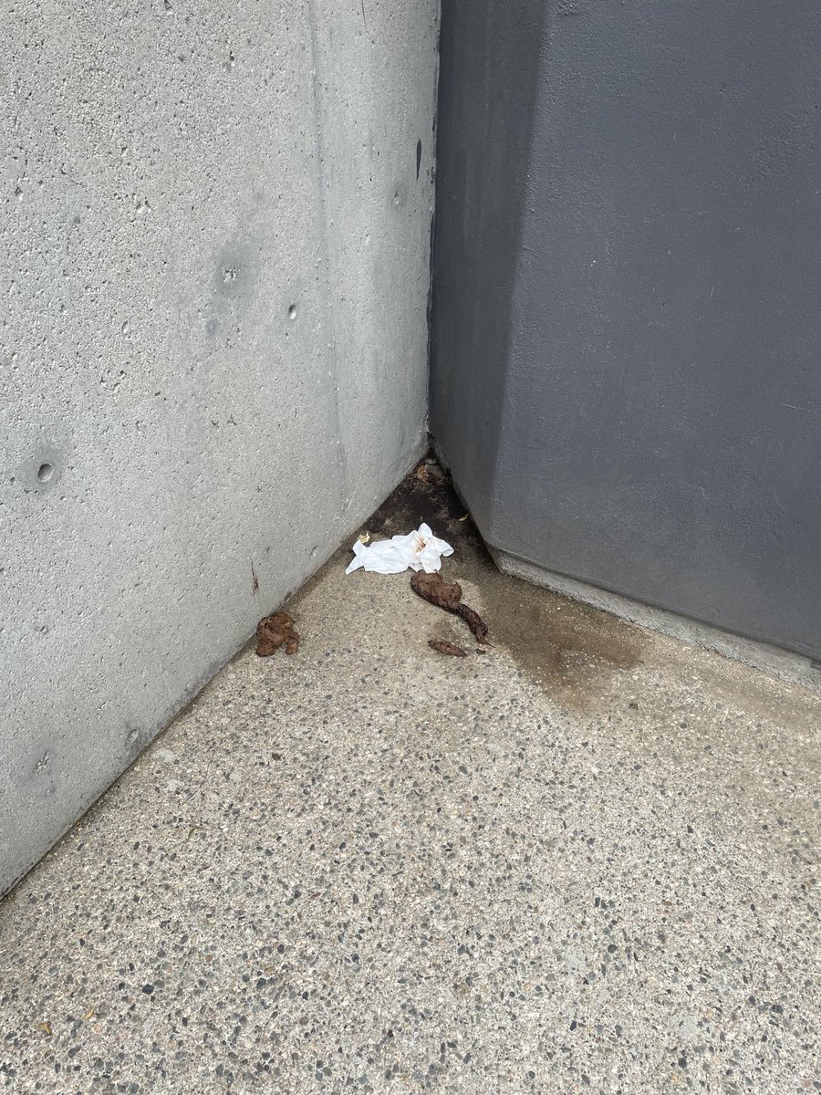 1000 feet from the 4 million dollar toilets tax payers funded by the Murray Drug addicts hotel .  I vote for change . I don’t want to clean up human waste .