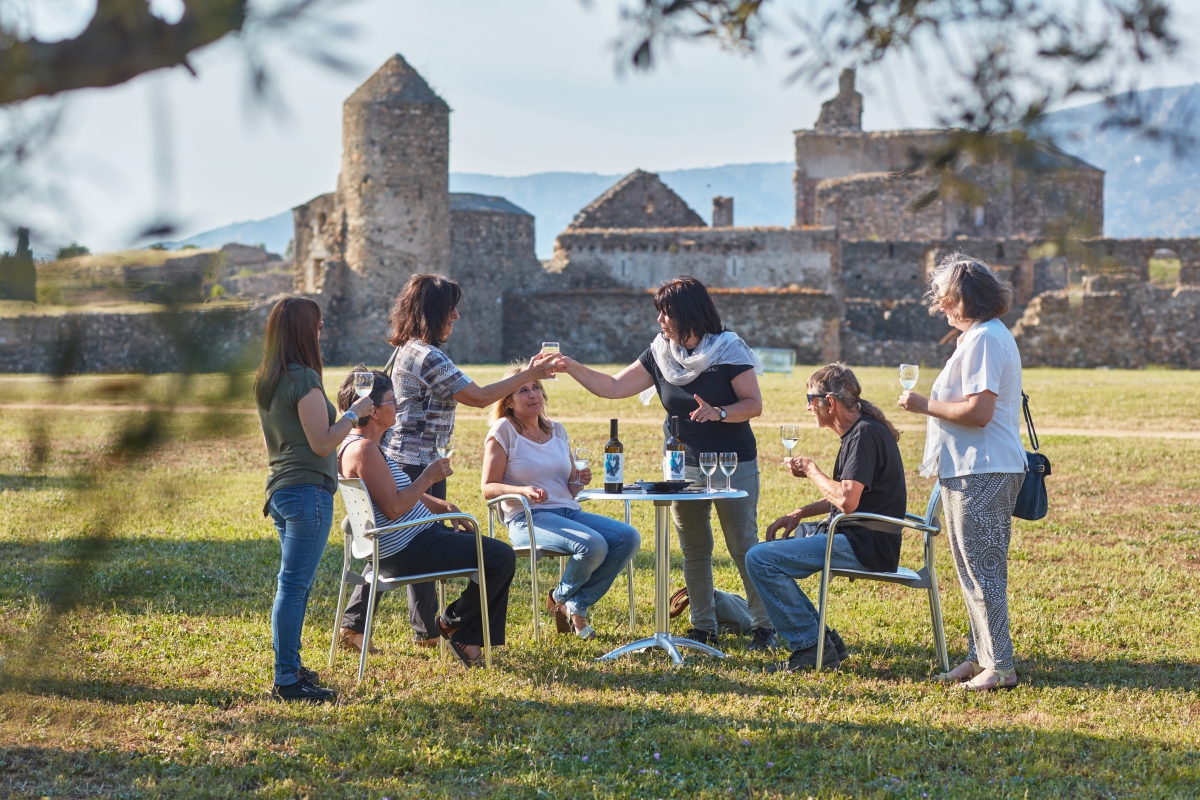 Visit Roses tweet media