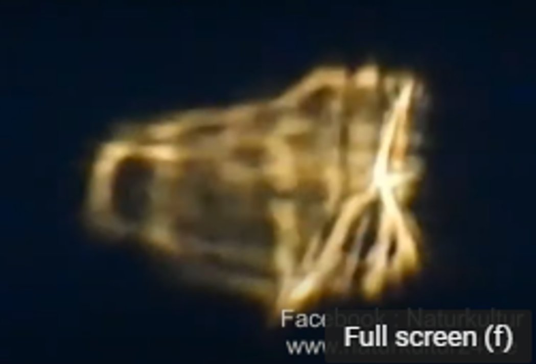 ObjectsU's tweet image. Recent unknown object seen hovering estimated 10 to 20,000 ft and taken by powerful camera on the ground...THESE on the same kind of objects imaged by Scott Leonard Walson with his telescope in the 1990s early 2000s in orbit. Look his story up it's amazing what he found.