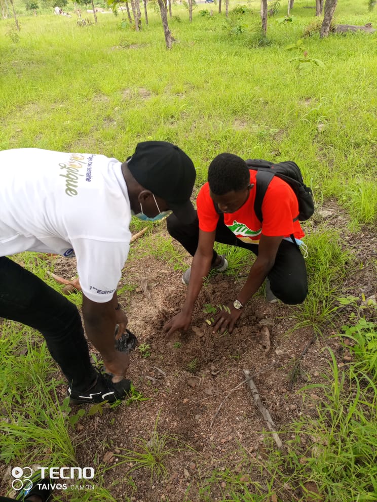 SoundiBob's tweet photo. Contribuons, du mieux que nous pouvons, aux efforts de reboisement massif de notre cher Pays le Togo. 
Le gouvernement togolais a changé de paradigme cette année : << la journée de l'arbre c'est tous les jours >>. https://t.co/Mi3Uw2MB9u