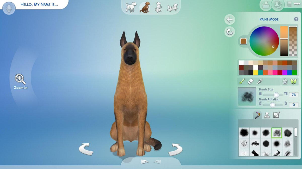 Zay Dizon tweet media