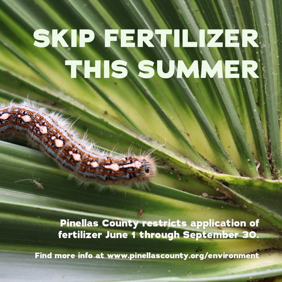 Reminder! Increased rainfall in the summer months causes nutrients from fertilizer to reach water bodies + lead to environmental issues. To prevent this, the Pinellas County fertilizer ban is in effect June 1 - September 30. For eco-friendly tips, visit: 
stpete.org/stormwater